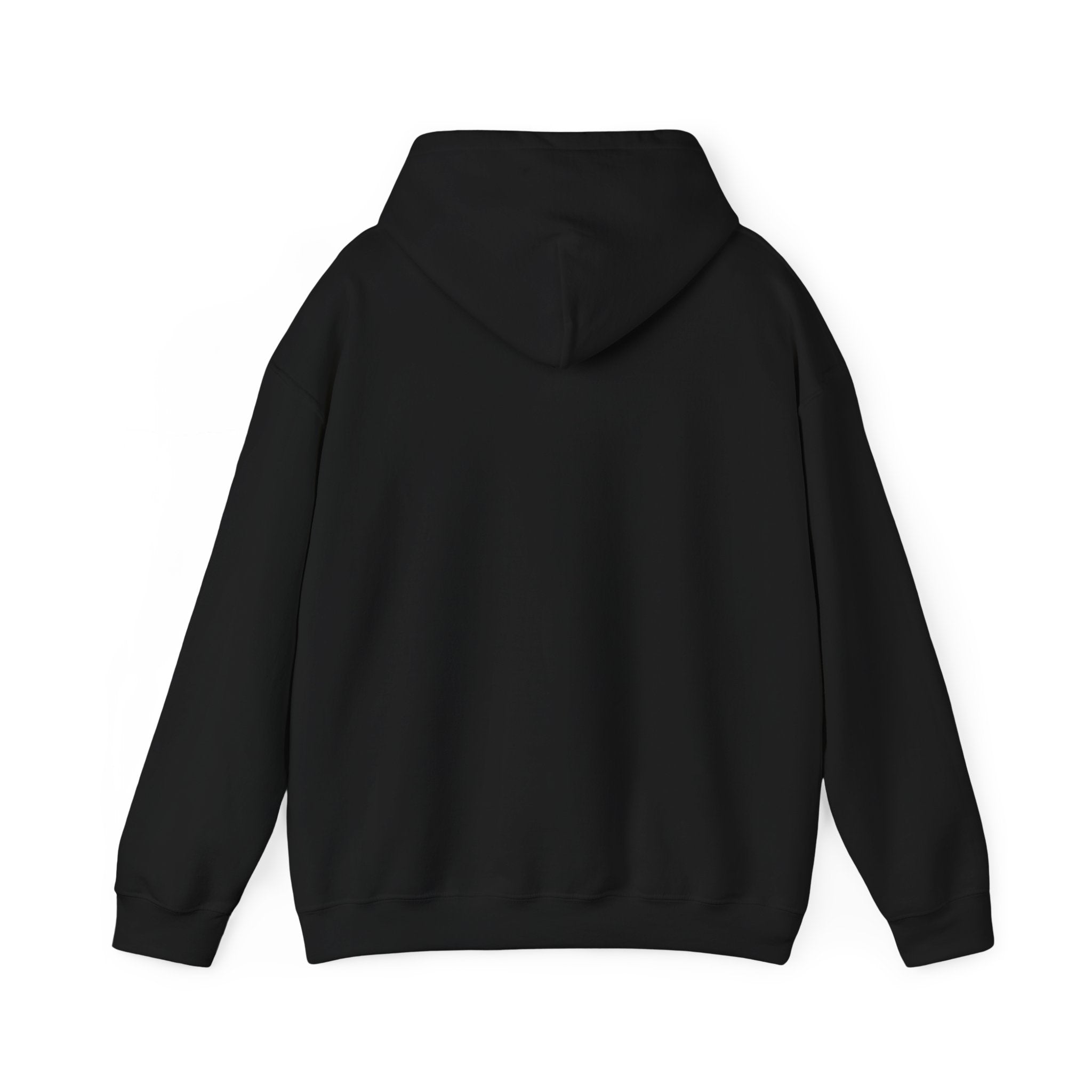 I Came. I Saw. I Overthought Everything Then Left Hoodie — Funny Overthinker Sweatshirt