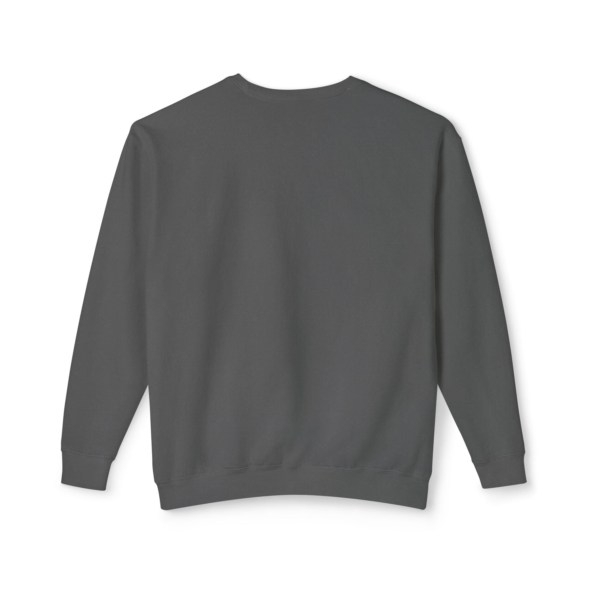 Adopted GPS Crewneck Sweatshirt — 'GPS Says You’re Adopted' Graphic