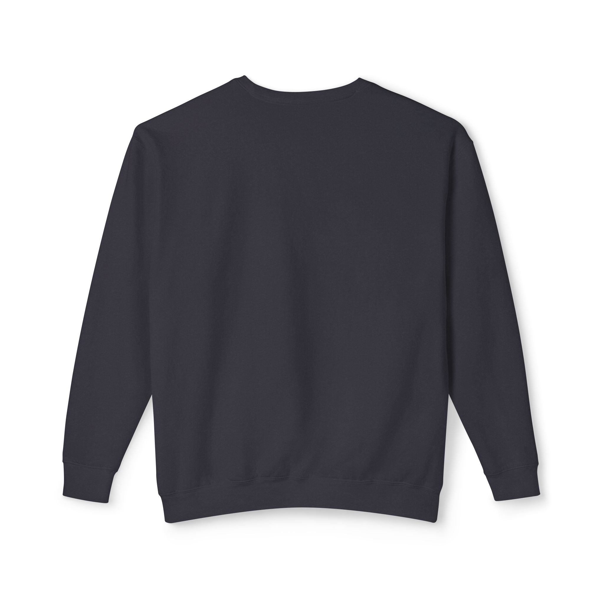 Adopted GPS Crewneck Sweatshirt — 'GPS Says You’re Adopted' Graphic