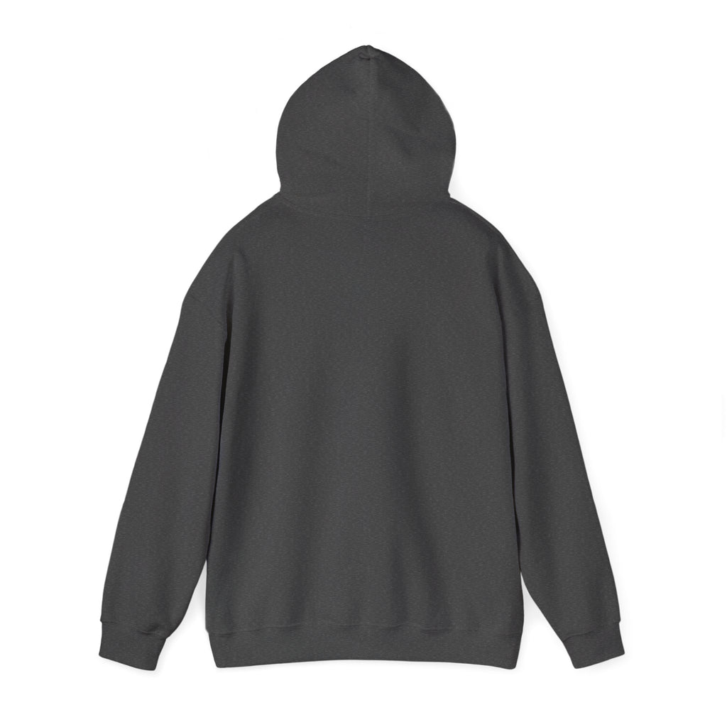 Checked My Balance Hoodie — Funny “Checked, Laughed, Cried, Checked Again” Graphic Hooded Sweatshirt