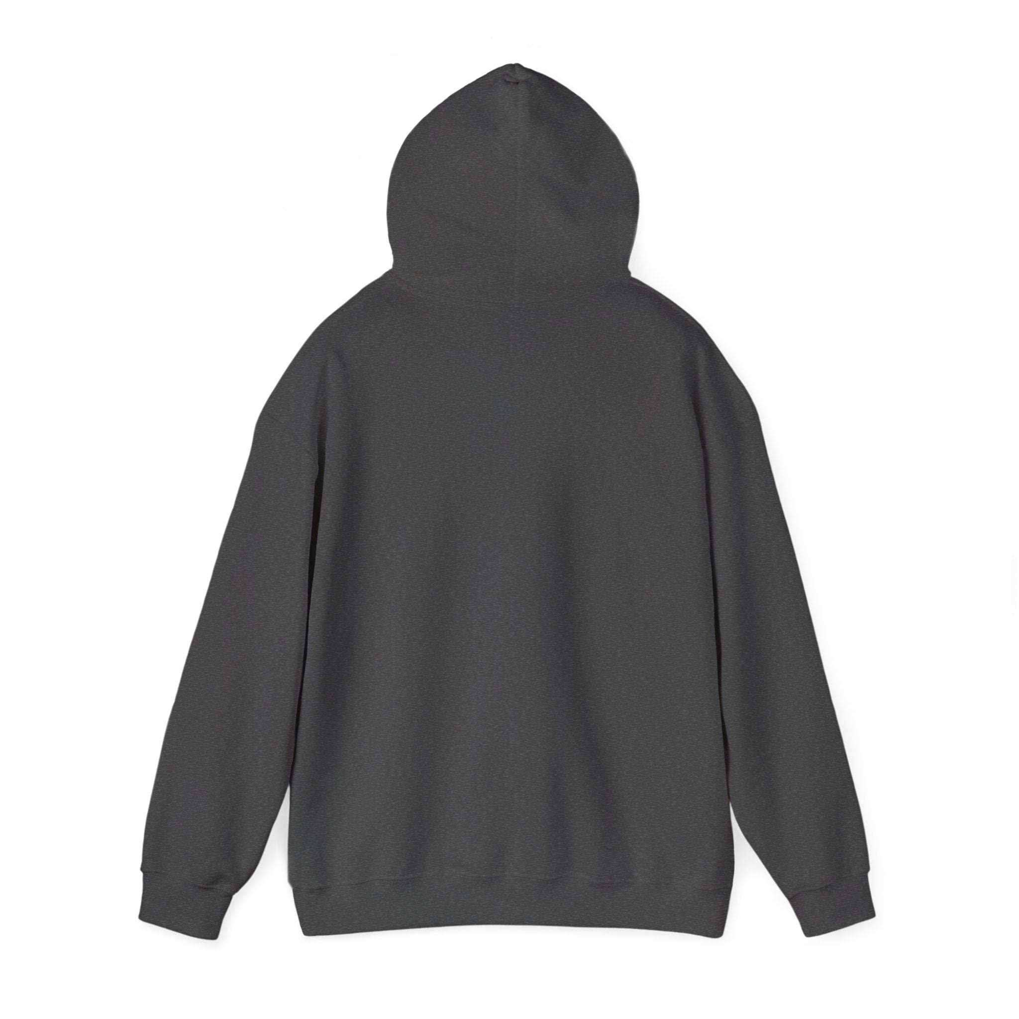 Checked My Balance Hoodie — Funny “Checked, Laughed, Cried, Checked Again” Graphic Hooded Sweatshirt