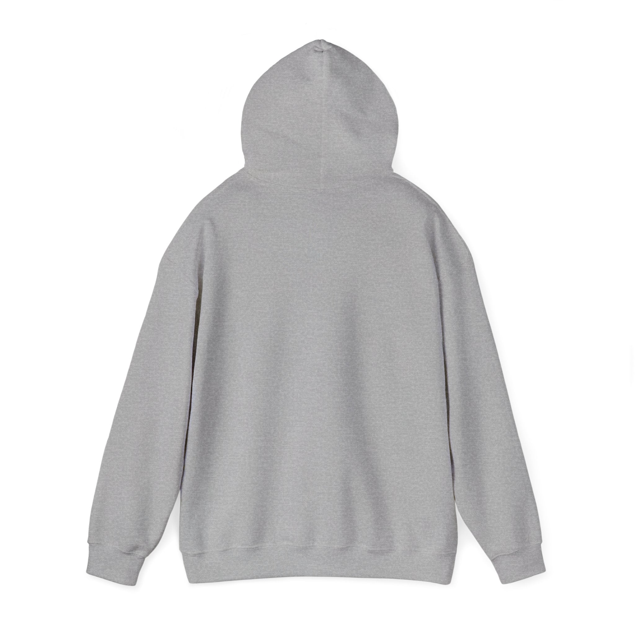 I Came. I Saw. I Overthought Everything Then Left Hoodie — Funny Overthinker Sweatshirt