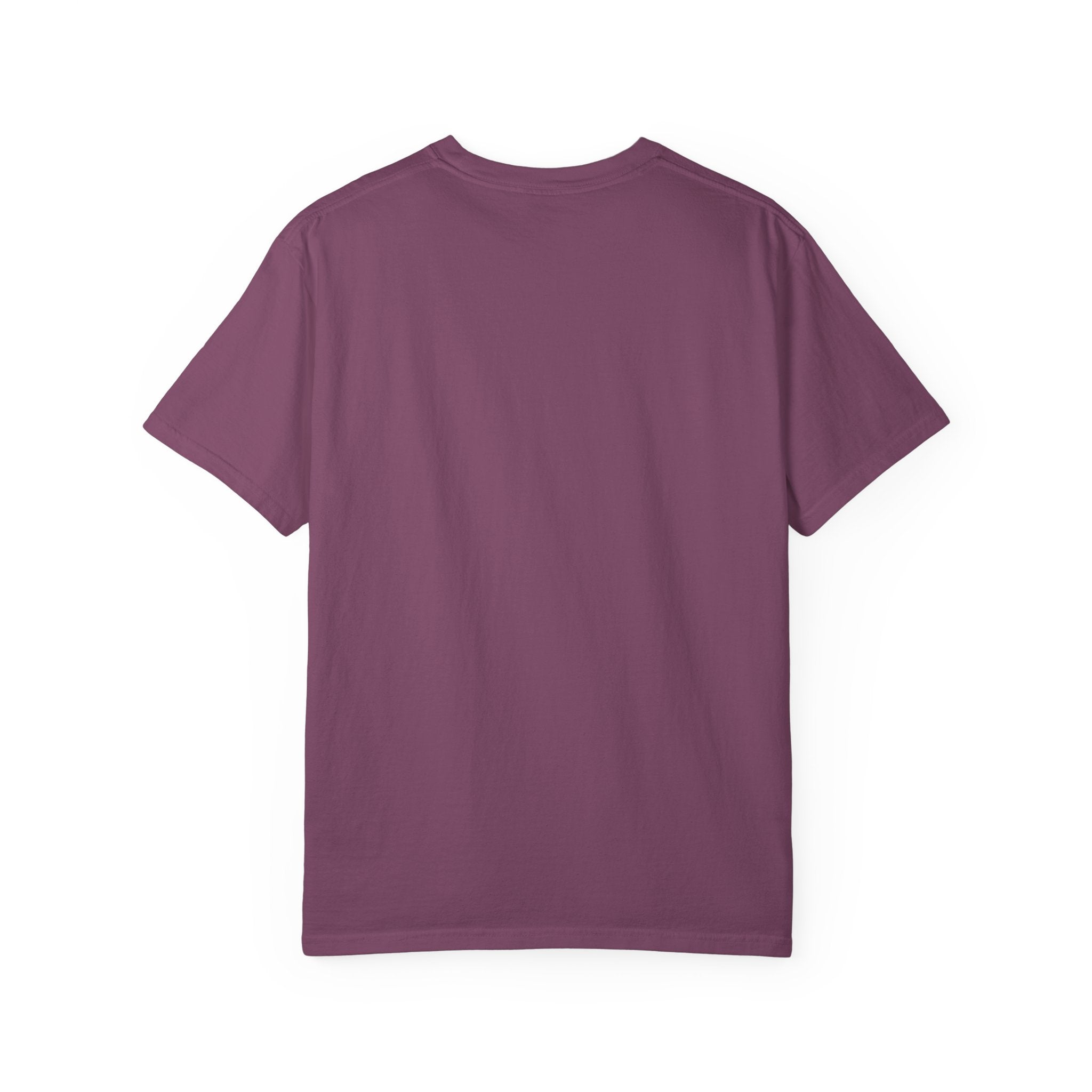 Too Tired To Care, Too Broke To Quit Raccoon T-Shirt — Funny Coffee & Hustle Tee