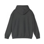 Checked My Balance Hoodie — Funny “Checked, Laughed, Cried, Checked Again” Graphic Hooded Sweatshirt