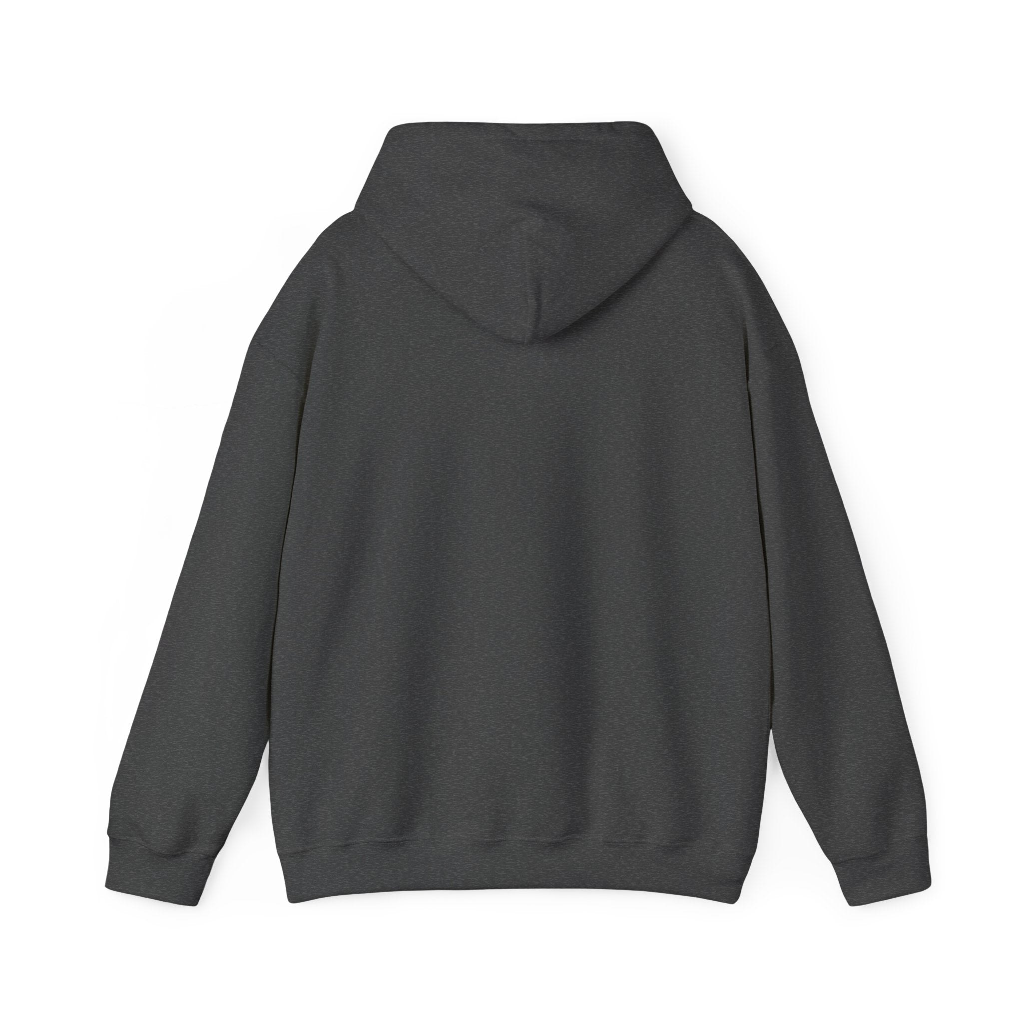Checked My Balance Hoodie — Funny “Checked, Laughed, Cried, Checked Again” Graphic Hooded Sweatshirt